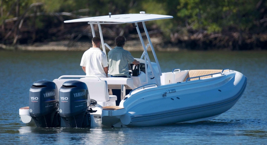 Chapman 28 for Sale and Information