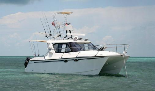 ArrowCat 30RS Express