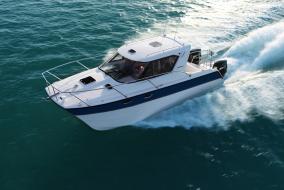 ArrowCat 30 Intuition