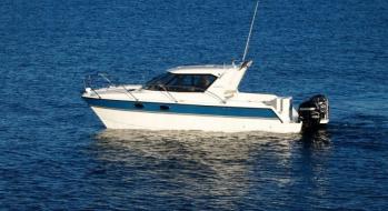 ArrowCat 32RS