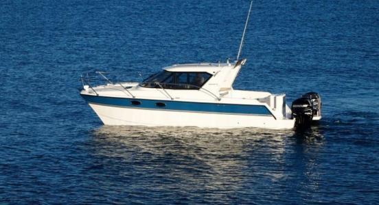 ArrowCat 32RS