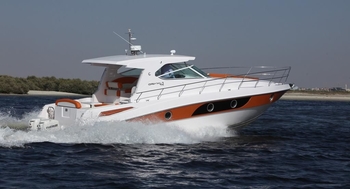 Oryx 42