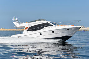 Oryx 43