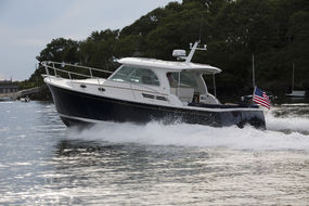 Back Cove 32