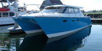 Arrowcat 420